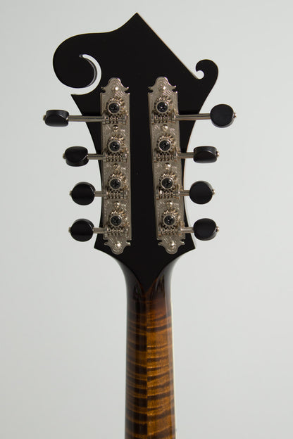 Northfield NFB-5FA Big Mon Carved Top Mandolin (2026)