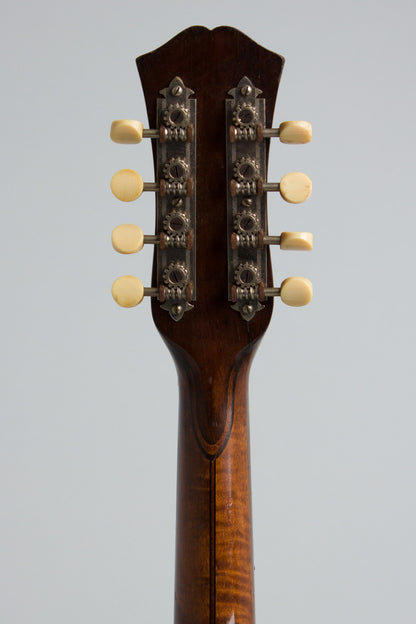 Bacon & Day Super Style A Mandolin Banjo (1924)