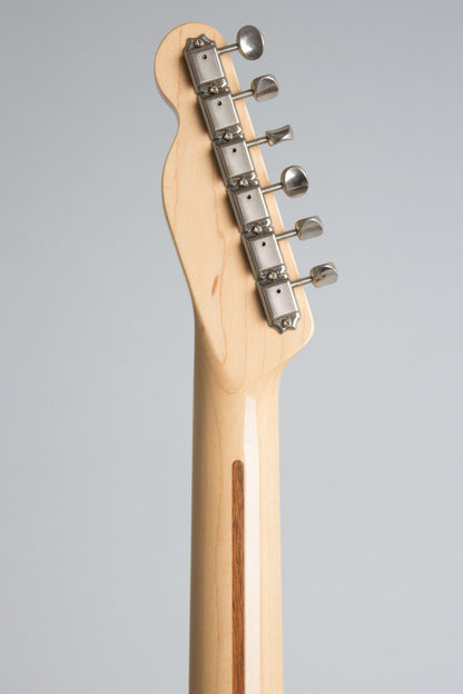 Fender TL 69-75 Paisley Telecaster Solid Body Electric Guitar (2016)