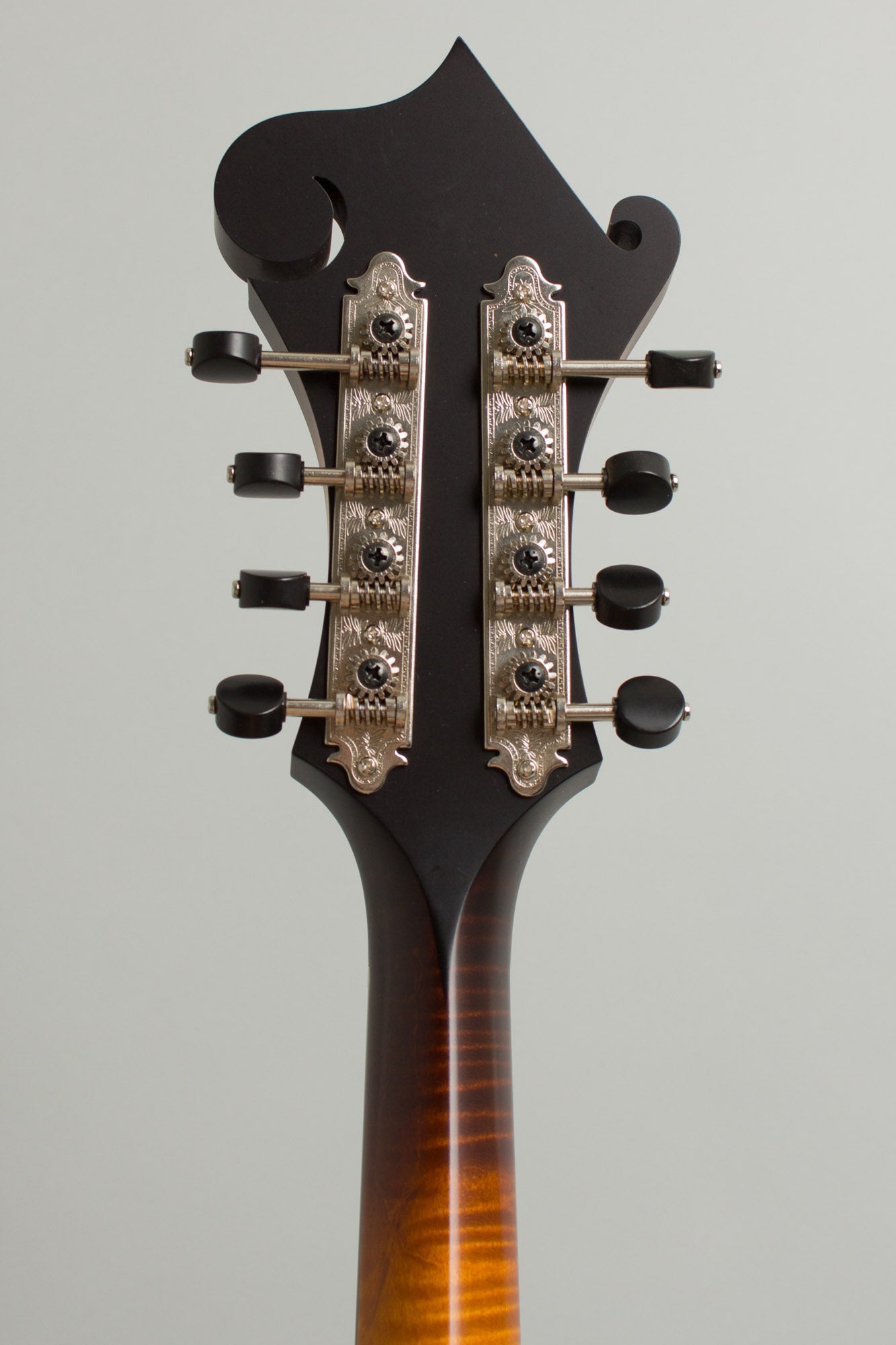 Collings MF Carved Top Mandolin (2025)