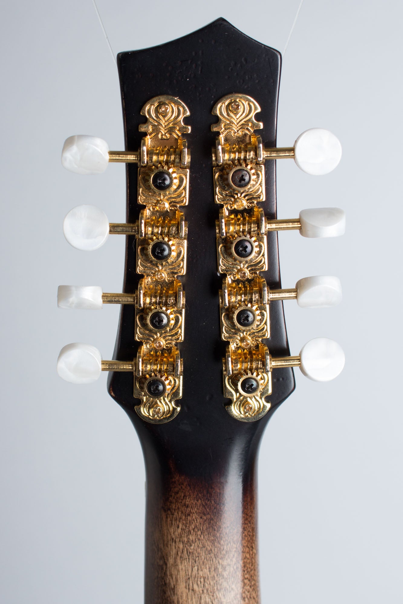 Gold Tone GM-Custom Arch Top Mandolin (2014)