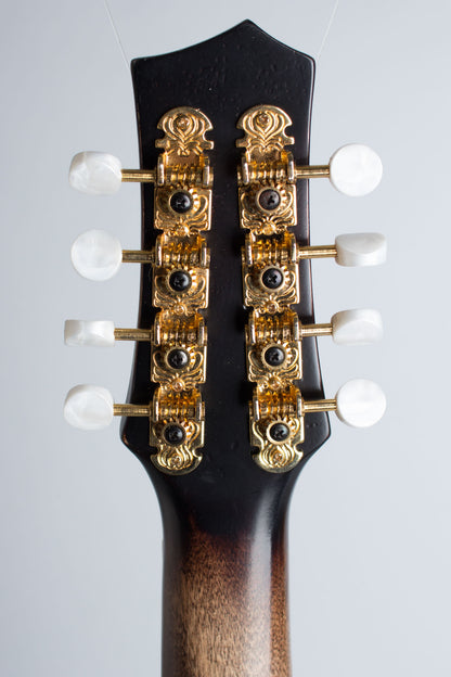 Gold Tone GM-Custom Arch Top Mandolin (2014)