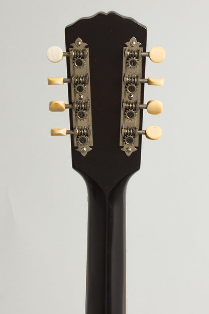 Gibson K-1 Carved Top Mandocello (1924)