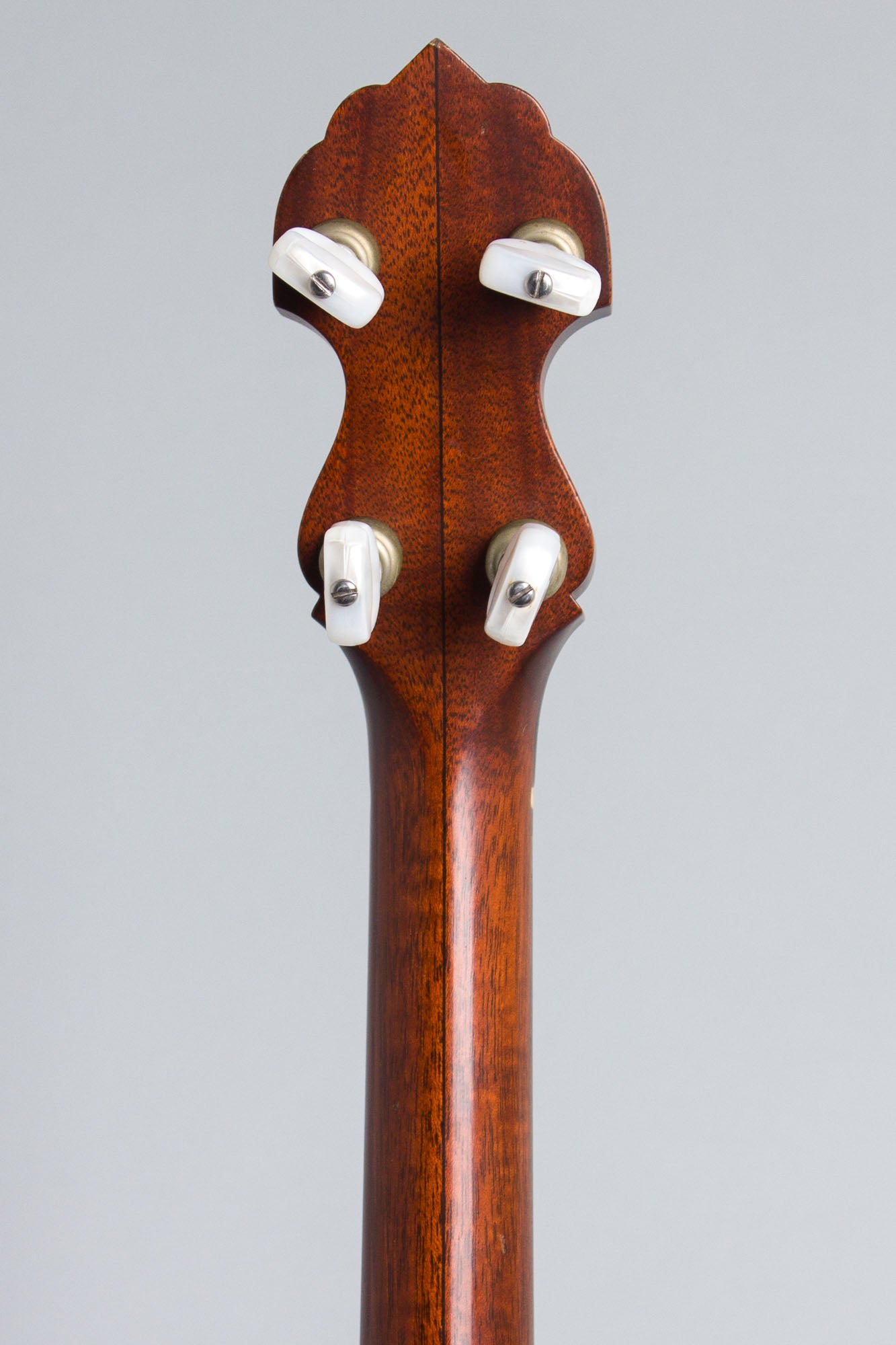 Bart Reiter Standard 5 String Banjo (1991)