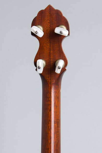 Bart Reiter Standard 5 String Banjo (1991)