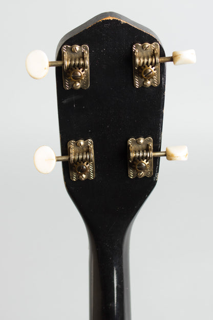 Kay K-75 5 String Banjo (1967)
