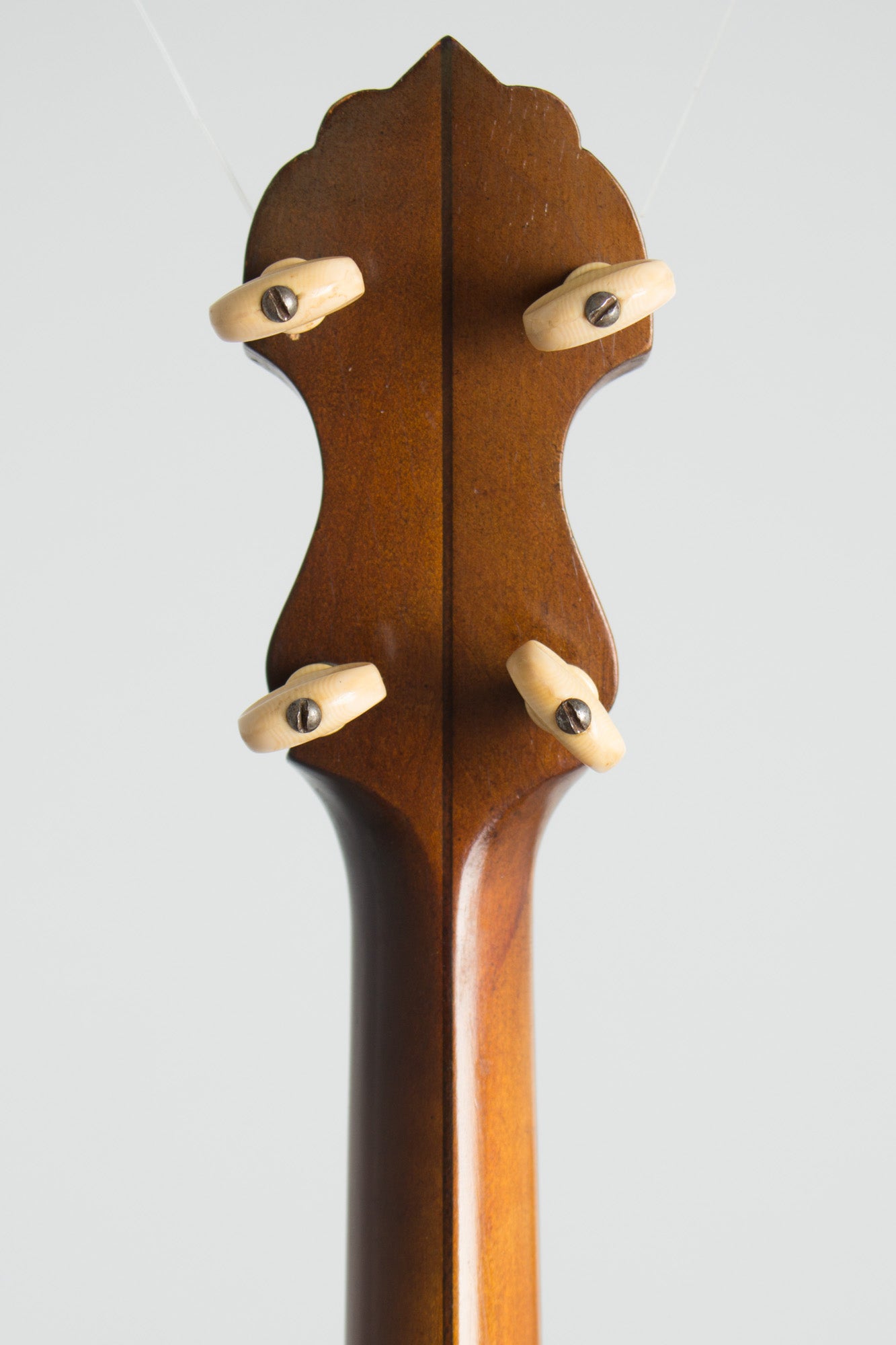 Vega Tu-Ba-Phone Style M Tenor Banjo (1926)