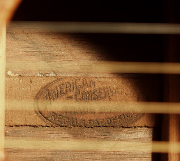 Lyon & Healy American Conservatory Harp Guitar (1910)