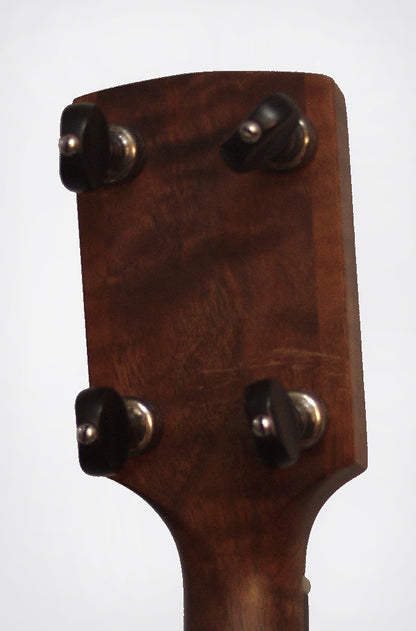 Brooks 5 String Banjo (2008)