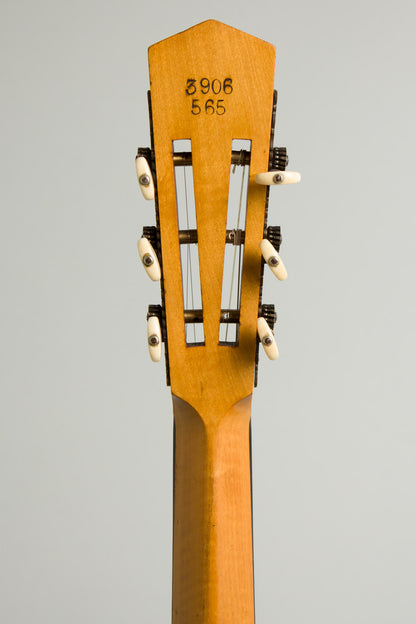 Cammeyer 5 String Zither Banjo (1909)