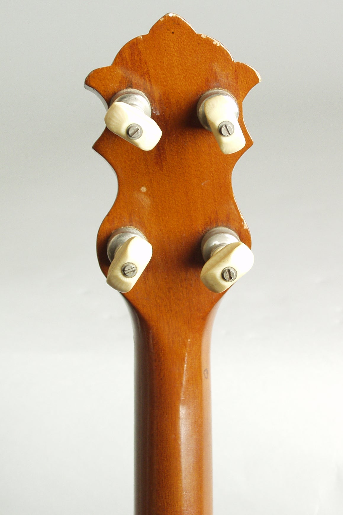 Luscomb composite with Jim DeCava Neck 5 String Banjo (1895)