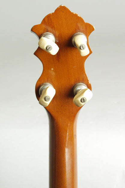 Luscomb composite with Jim DeCava Neck 5 String Banjo (1895)