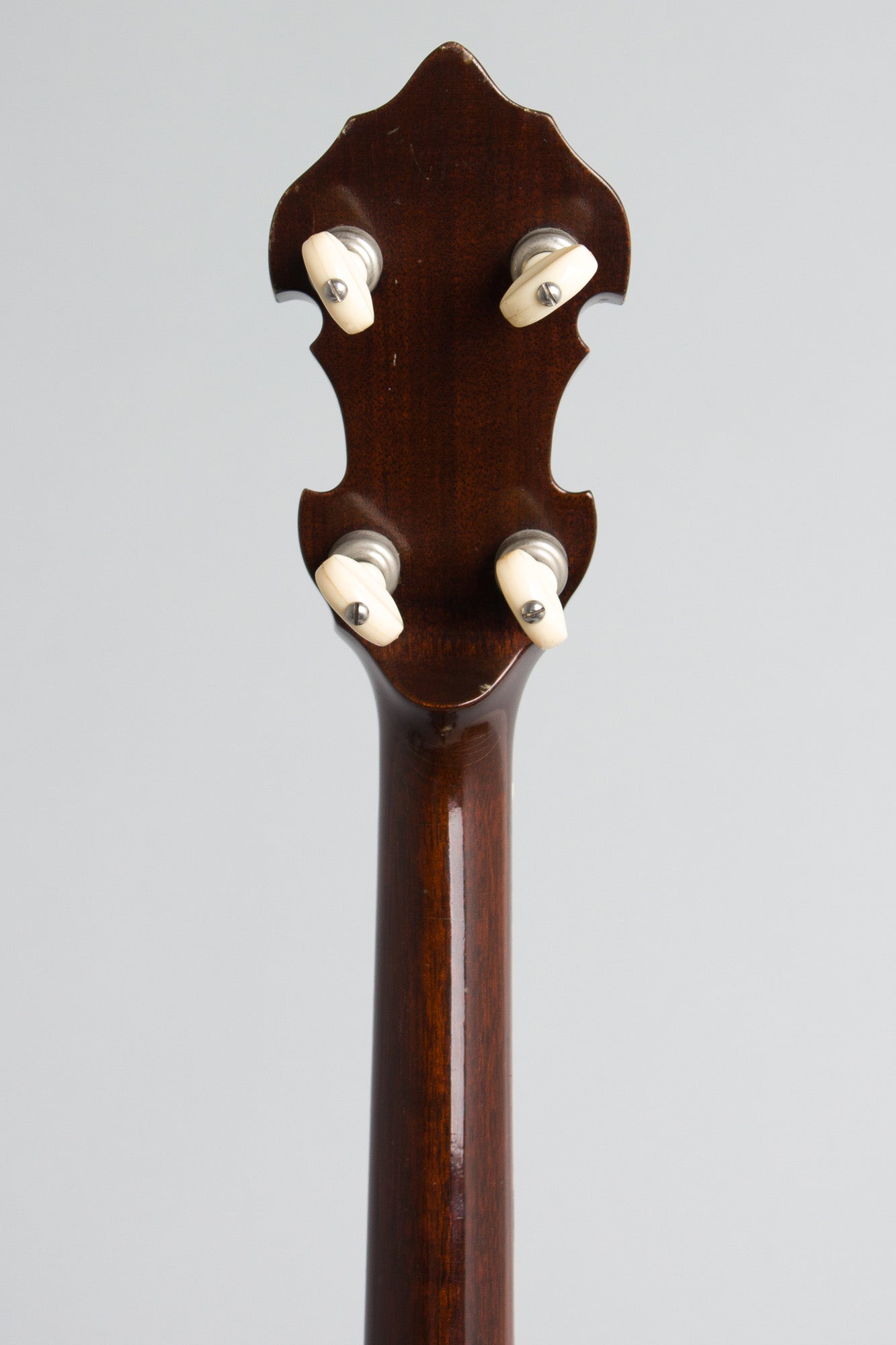 Monteleone Mastertone-style Neck on Alvarez Pot 5 String Resonator Banjo (1970/1973)