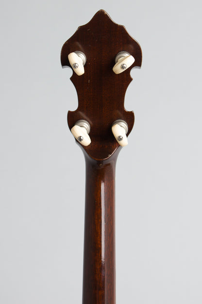 Monteleone Mastertone-style Neck on Alvarez Pot 5 String Resonator Banjo (1970/1973)