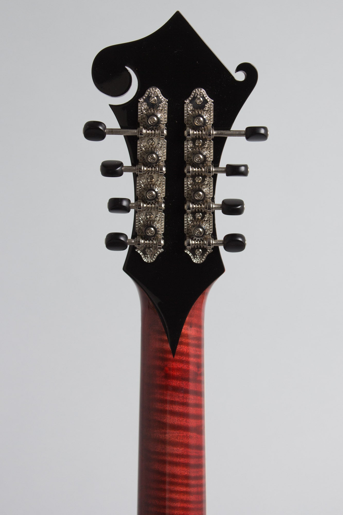 Weber Carved Top Mandocello (2016)
