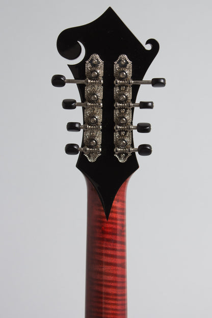 Weber Carved Top Mandocello (2016)
