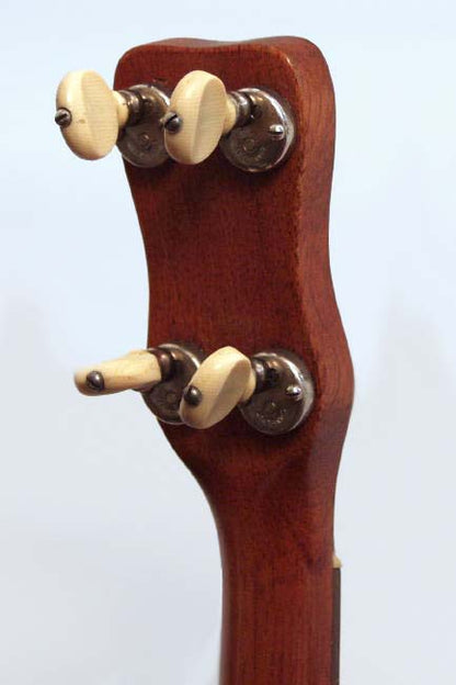 Regal Professional Flat Top Tenor Guitar (1929)