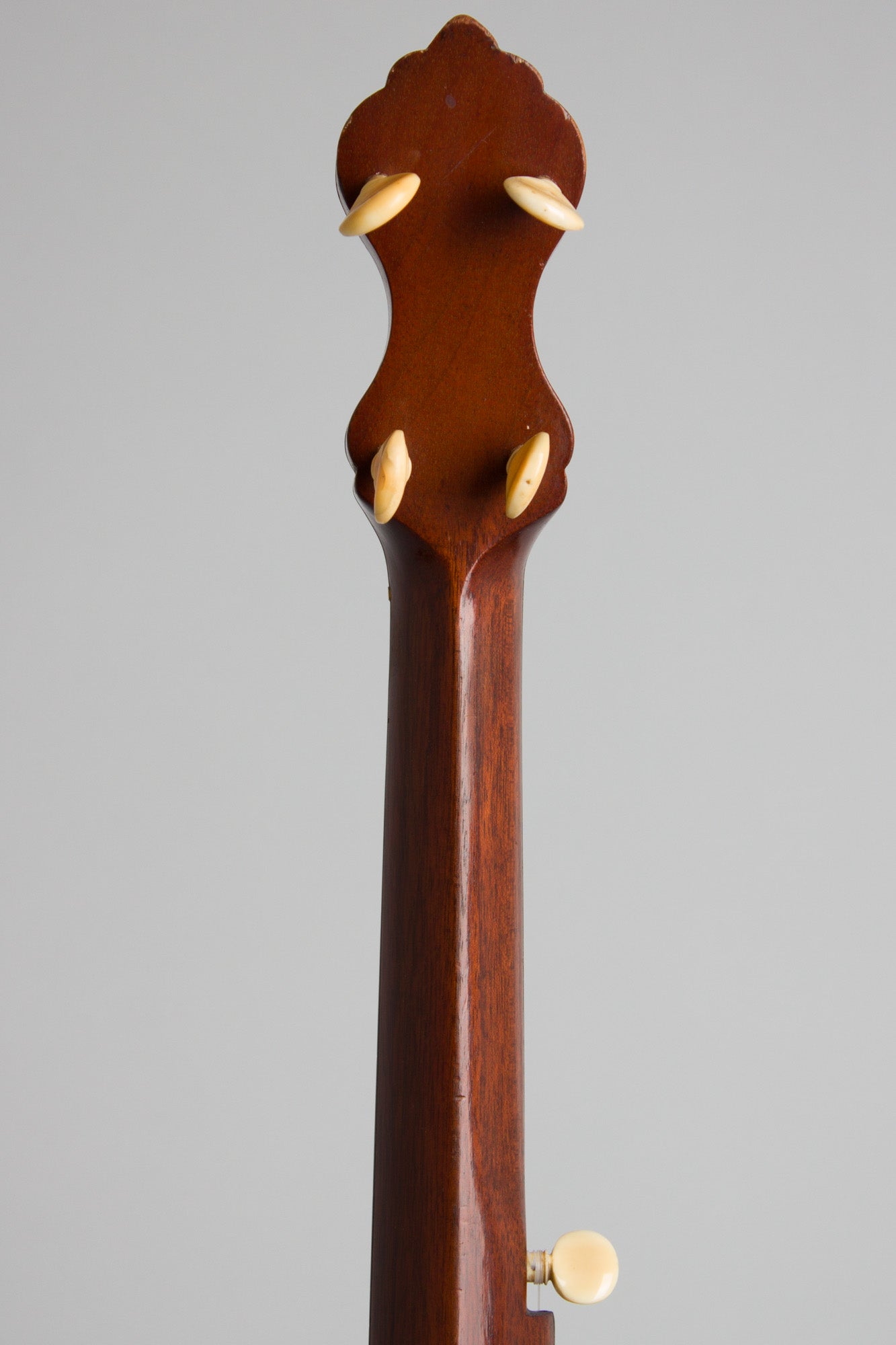 W. A. Cole Eclipse #3000 5 String Banjo (1895)