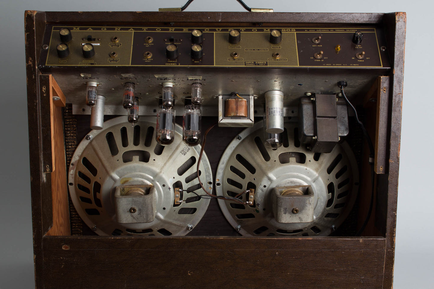 Magnatone Custom 262 Tube Amplifier (1962)