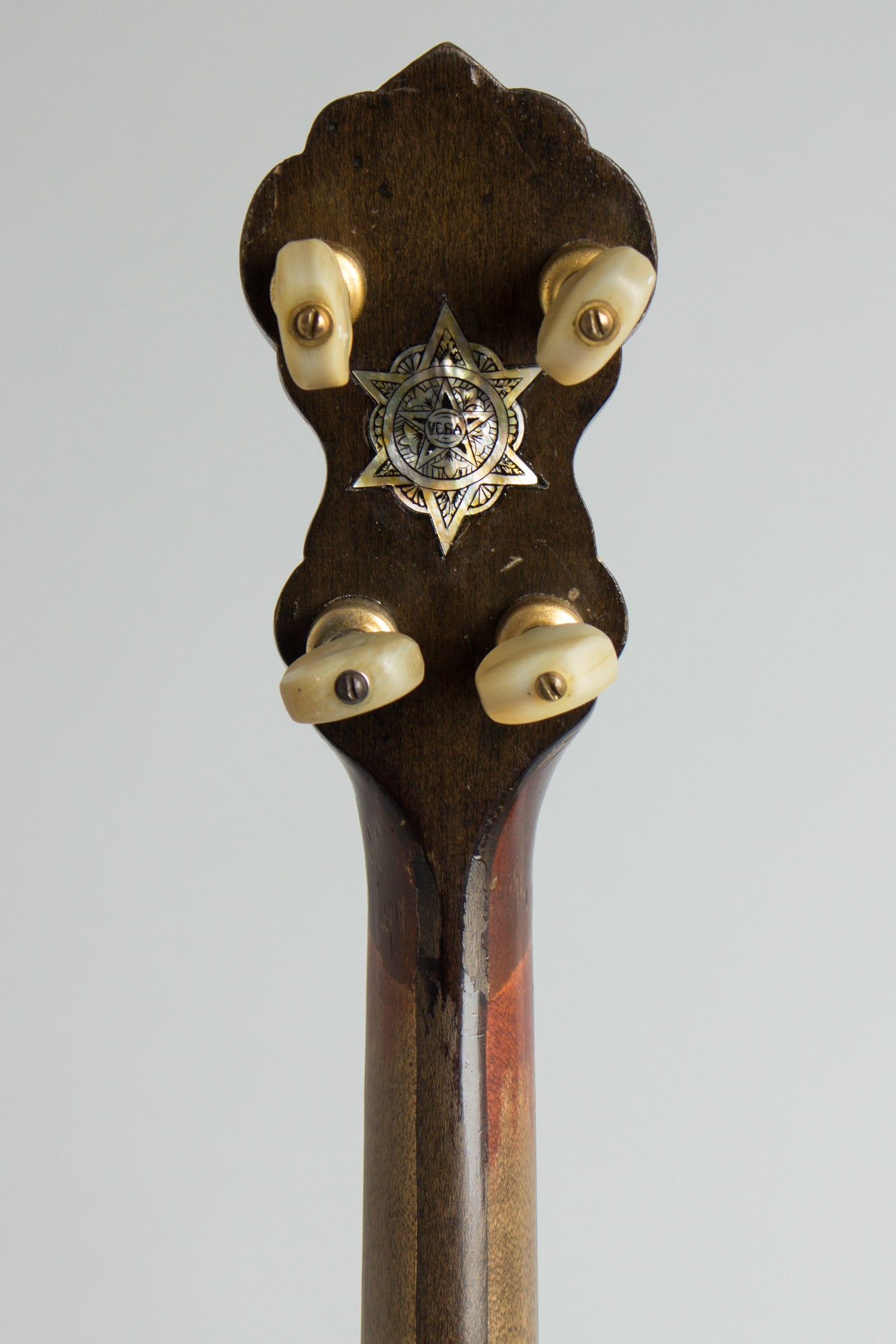 Vega Vegavox III Artist Tenor Banjo (1931)
