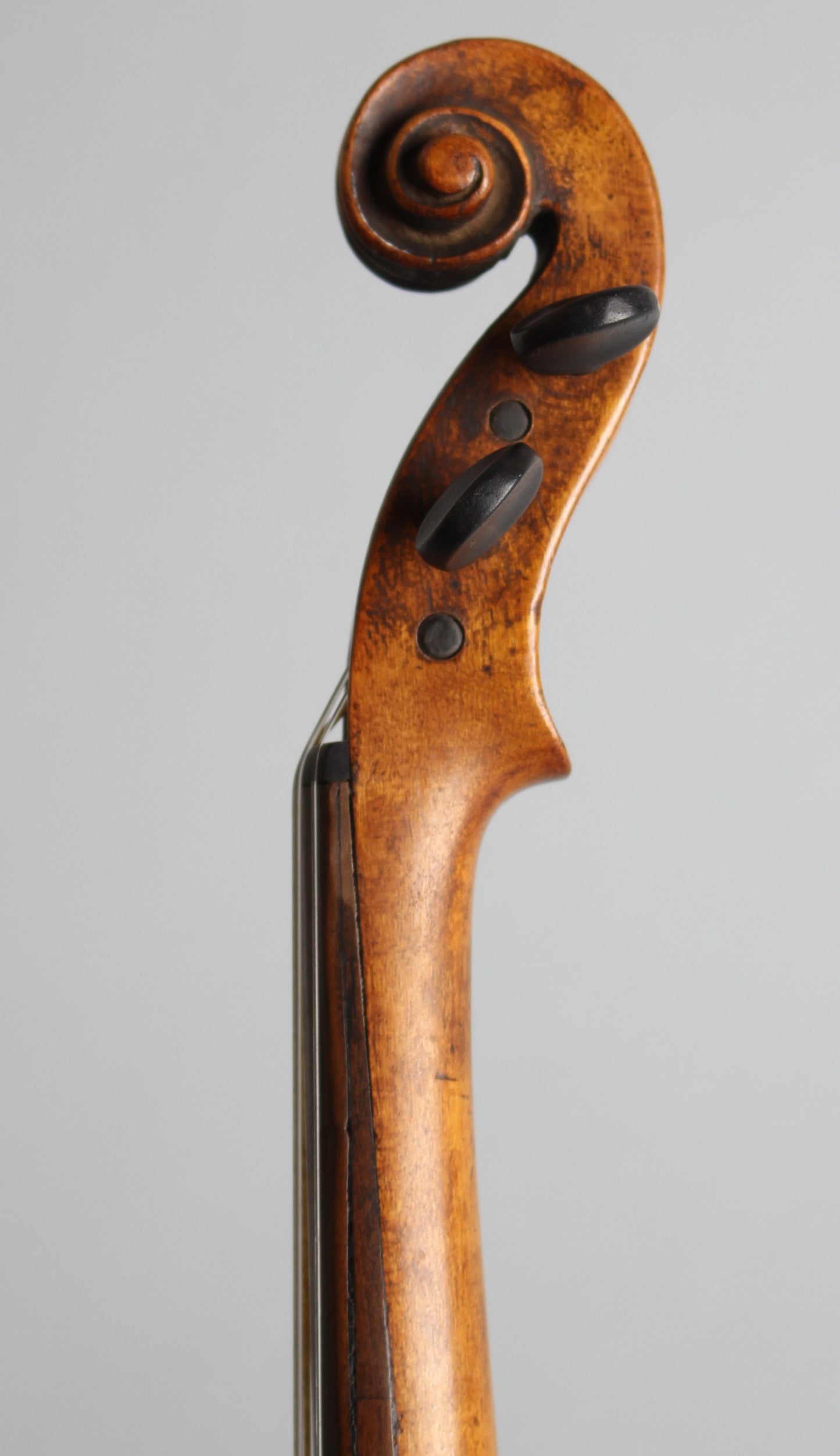 Pochette Violin