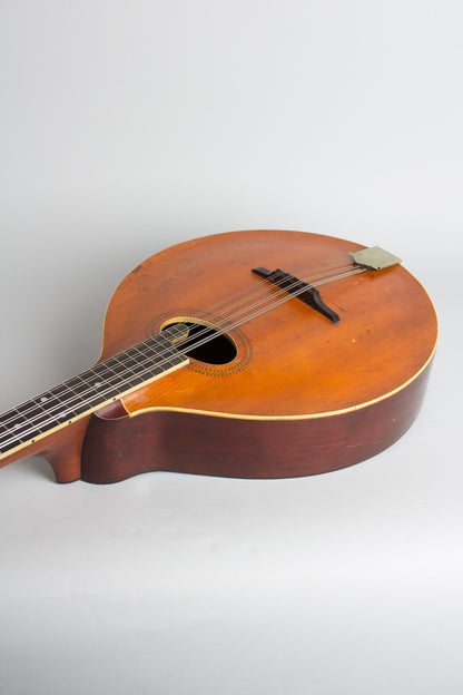 Gibson K-1 Carved Top Mandocello (1912)