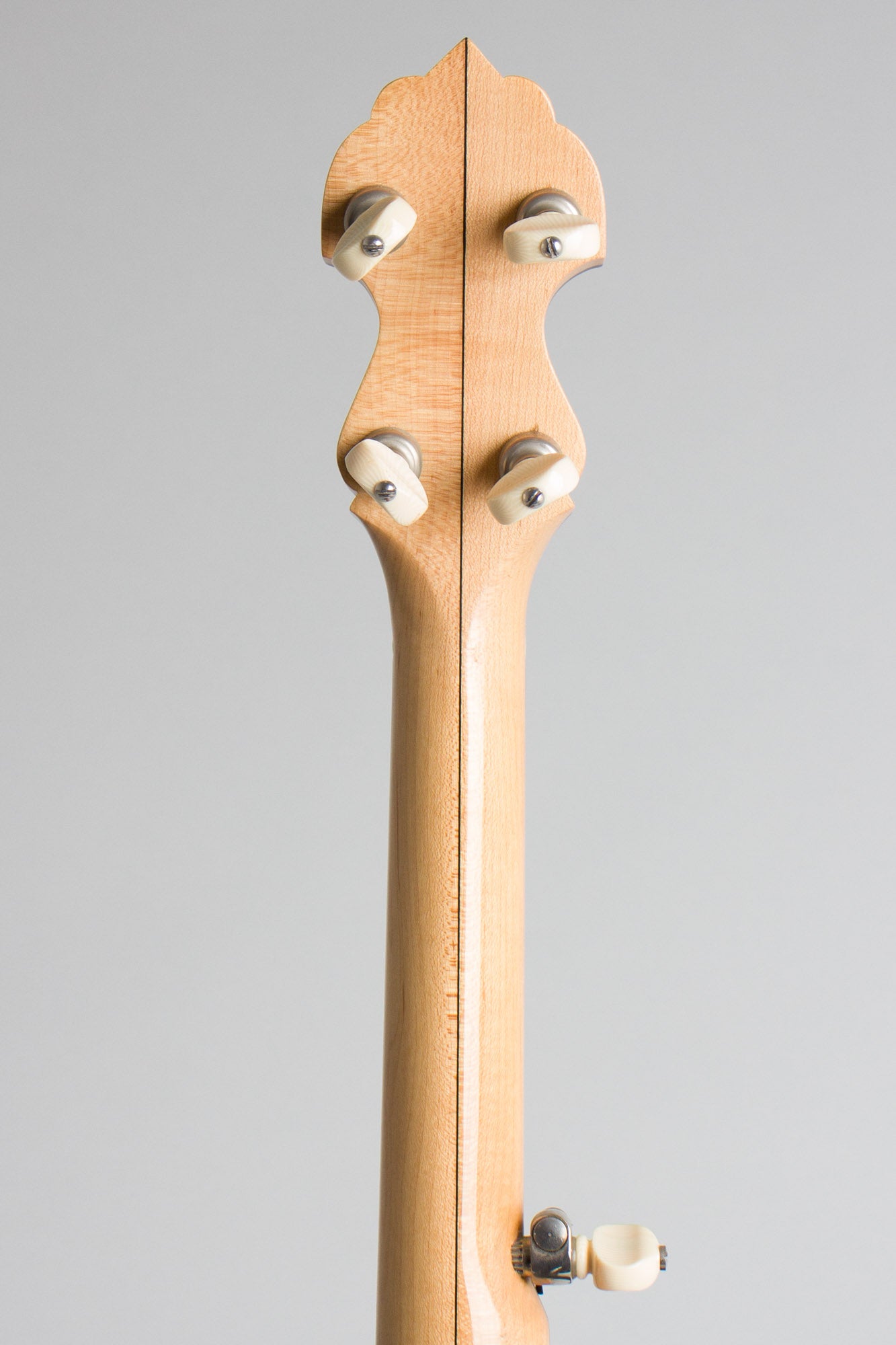 Bart Reiter Regent 5 String Banjo (2004)