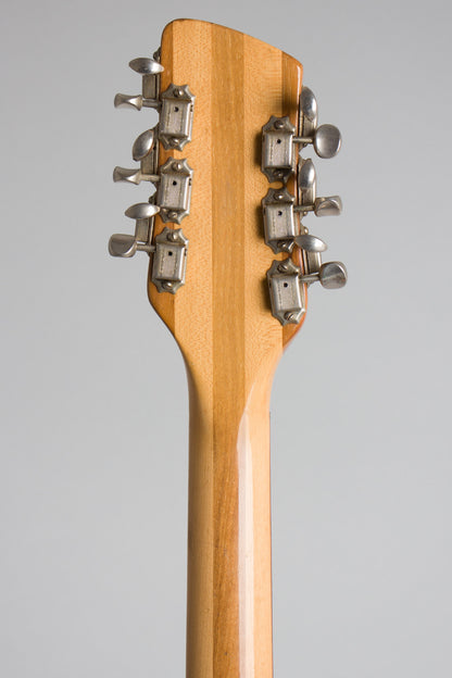 Rickenbacker Model 360/12 Thinline Hollow Body Electric Guitar (1966)