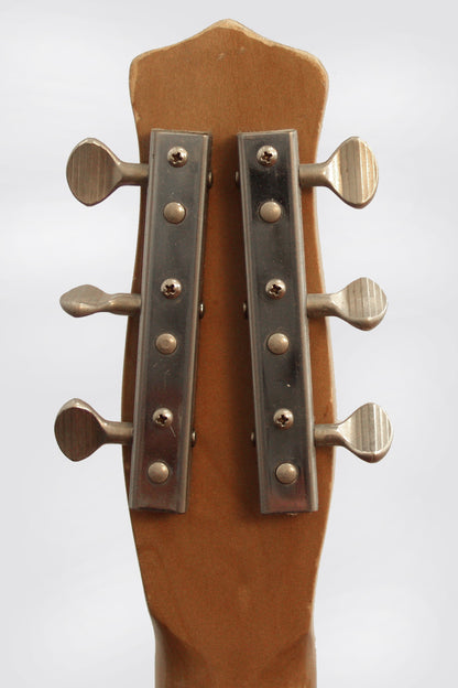Danelectro Convertible Acoustic-Electric Guitar (1965)