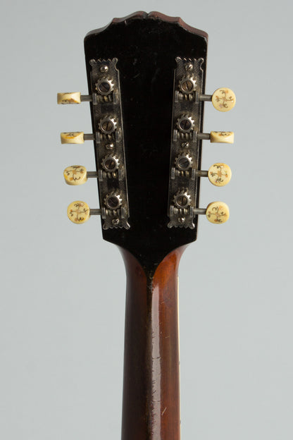 Gibson H-2 Carved Top Mandola (1914)