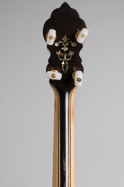 Bacon FF Professional Special Grand Concert 5 String Banjo (1916)