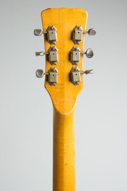 Mosrite Californian D-100 Owned and Used by Elliott Sharp Resophonic Electric Guitar (1967)