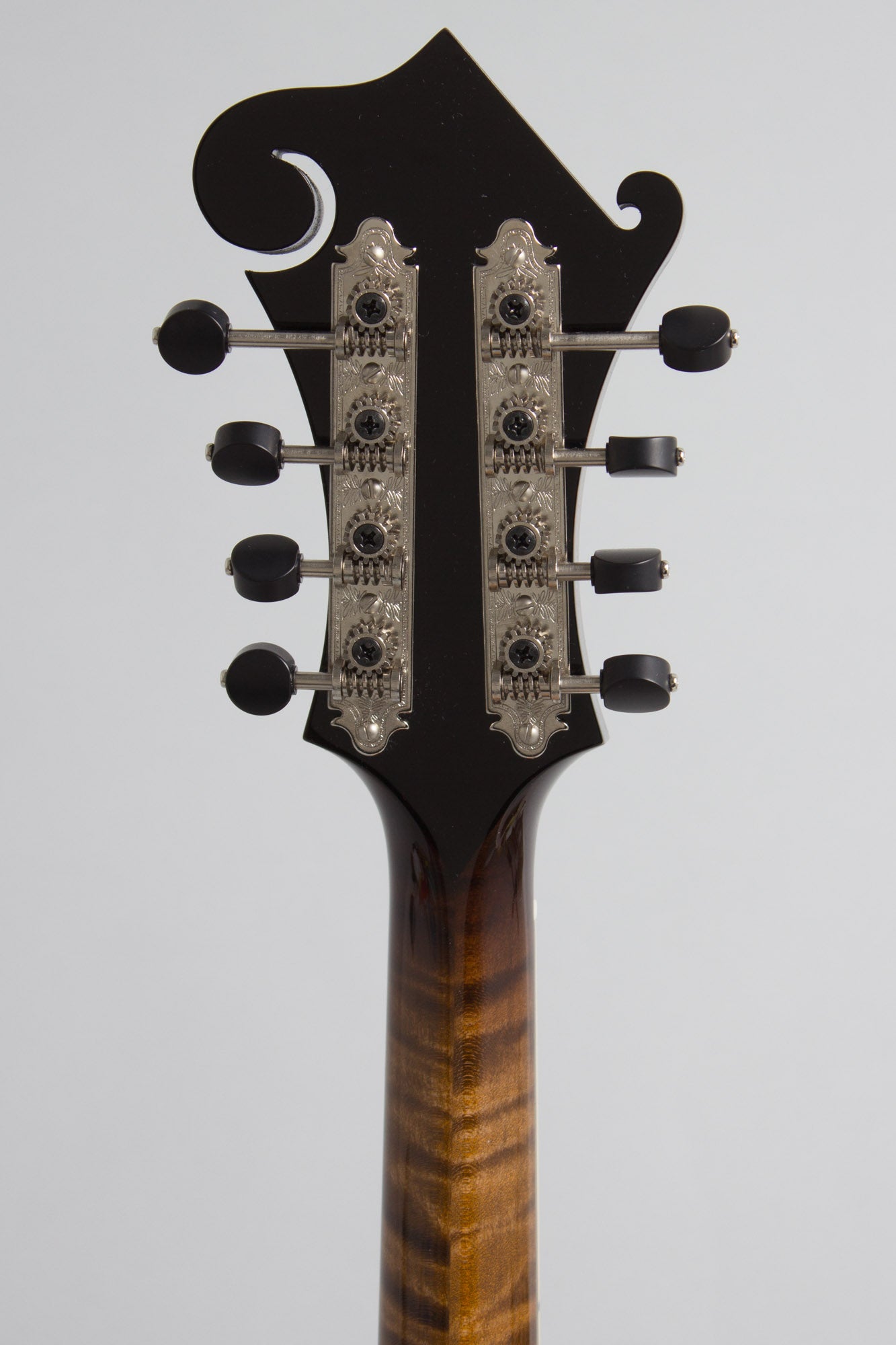Northfield NFB-F5AWN Big Mon Carved Top Mandolin (2025)