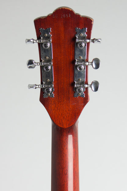 Guild F-20NT Flat Top Acoustic Guitar (1967)
