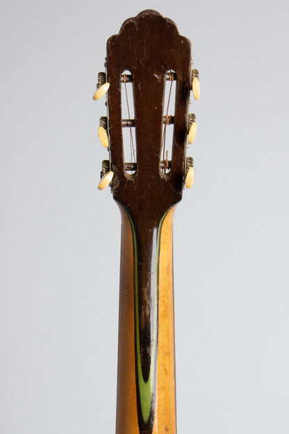 Yosco Colossus Guitar Banjo (1920)