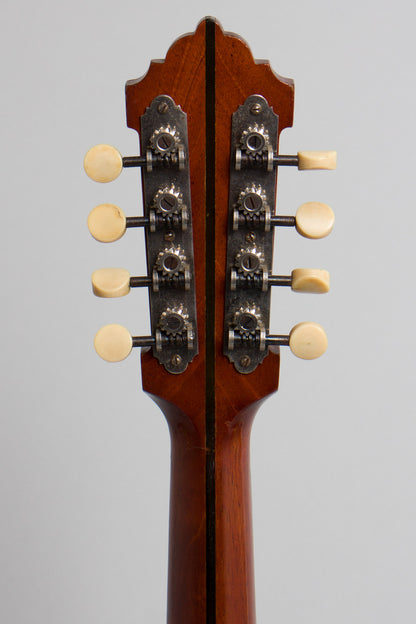 Lyon & Healy Style B Carved Top Mandolin (1919)