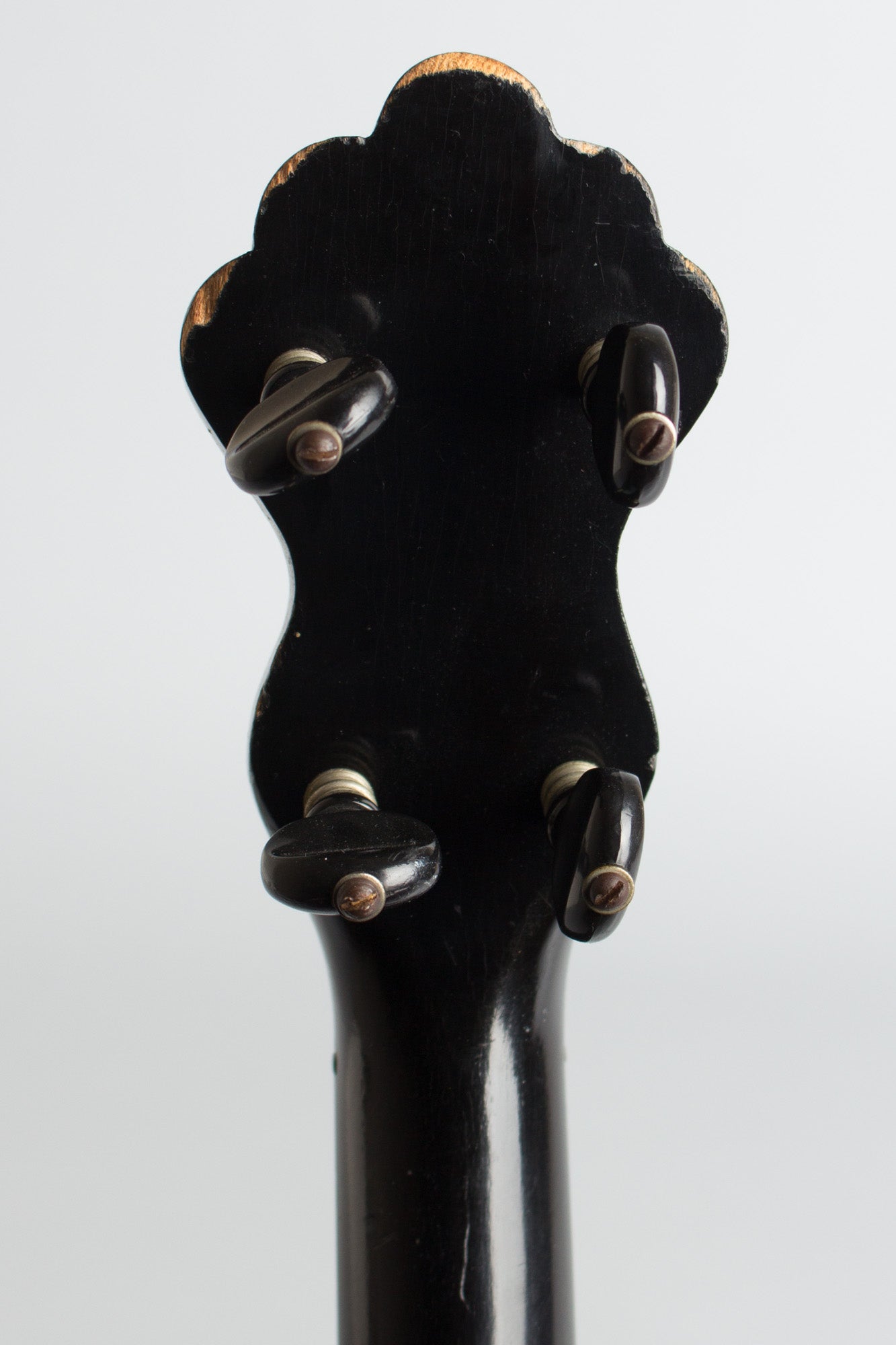 A. A. Farland Black Beauty 5 String Banjo (1915)