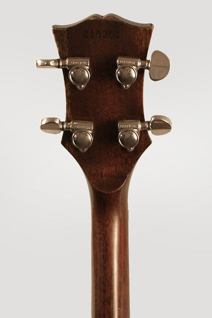 Gibson RB-175 Long Neck 5 String Banjo (1964)