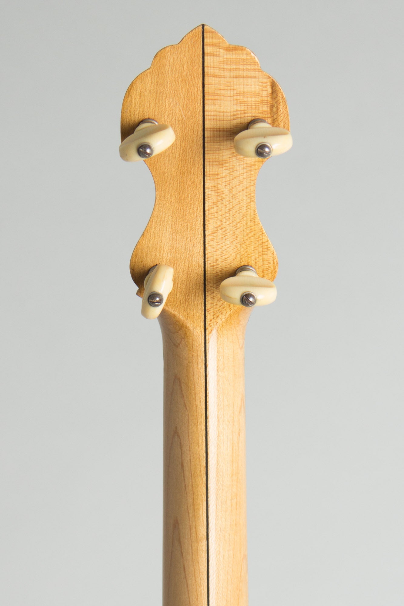 Fairbanks/Vega Regent 5 String Banjo (1910)