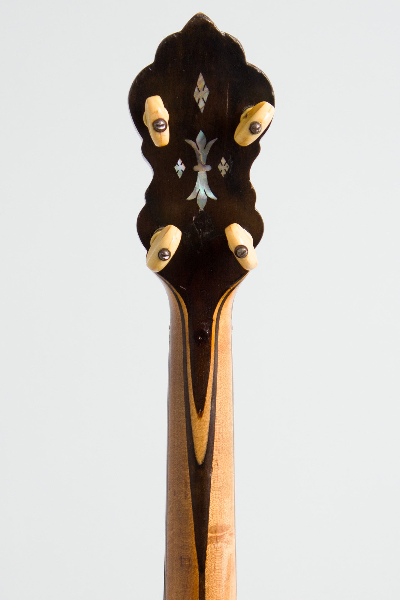 Bacon Professional FF Special Grand Concert 5 String Banjo (1915)