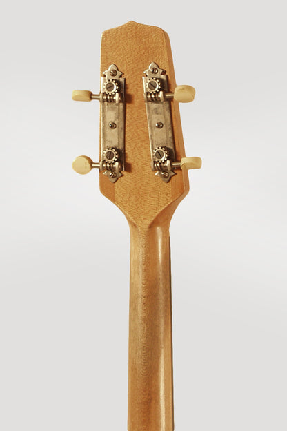 Gibson TB-3 Tenor Banjo (1924)