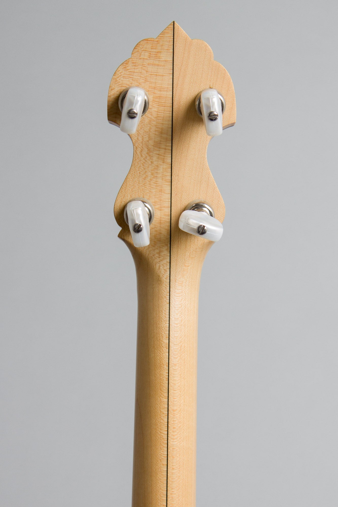 Bart Reiter Special 5 String Banjo (1996)
