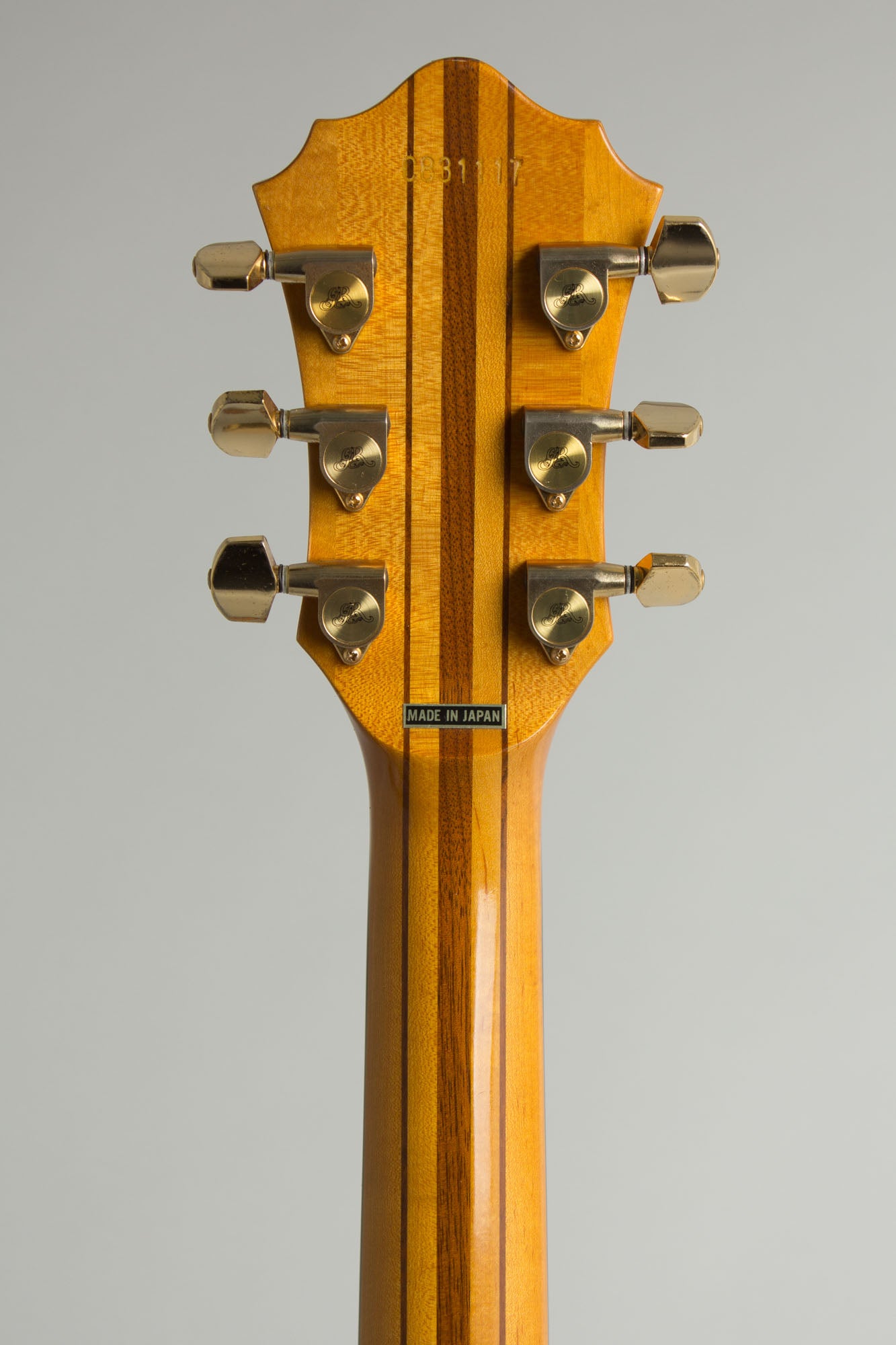 Roland GR-300 Polyphonic Guitar Synthesizer with G-808 Solid Body Electric Guitar (1983)