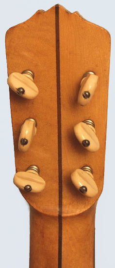 Vega Electric Guitar Banjo (1923)