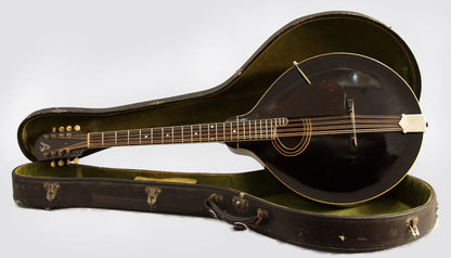 Gibson K-1 Mandocello (1924)