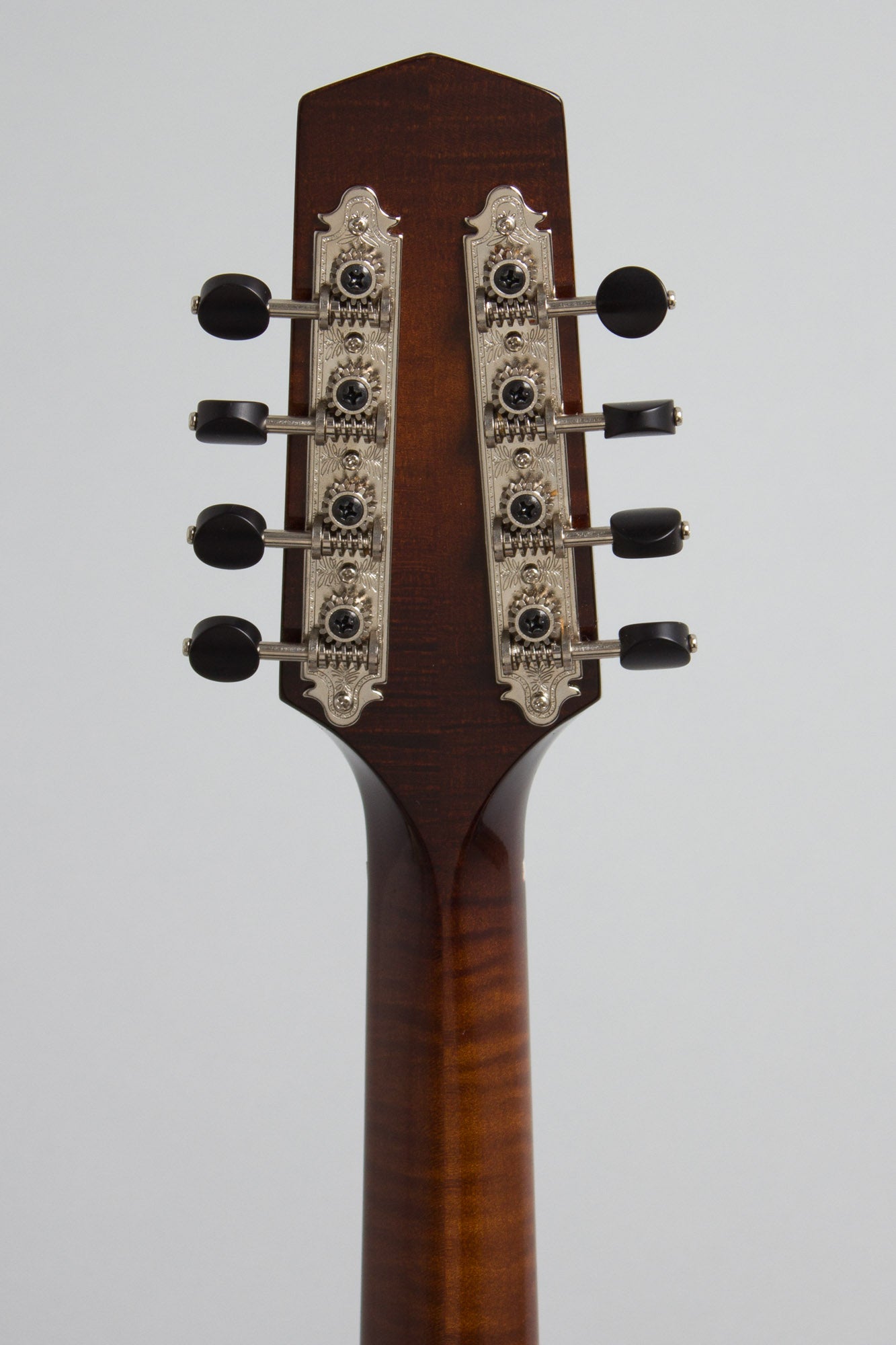 Northfield NFM-M5 Carved Top Mandola (2025)
