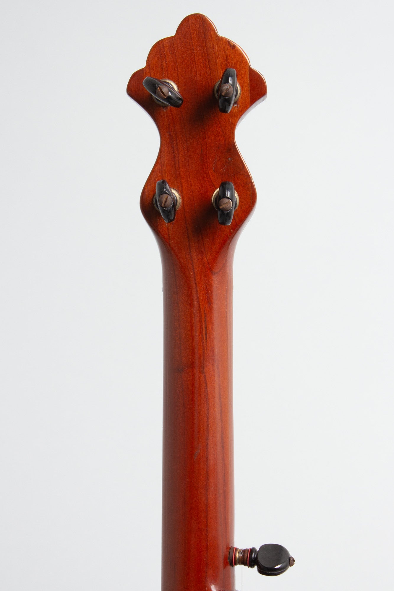 unlabelled 5 String Banjo (1890)