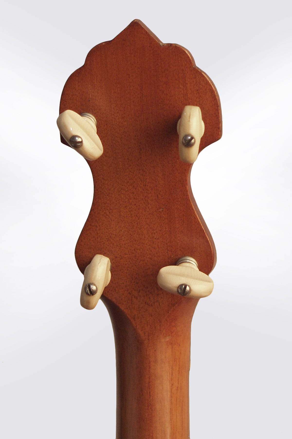 Vega Senator 5 String Banjo (1925)