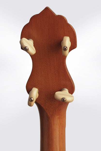 Vega Senator 5 String Banjo (1925)