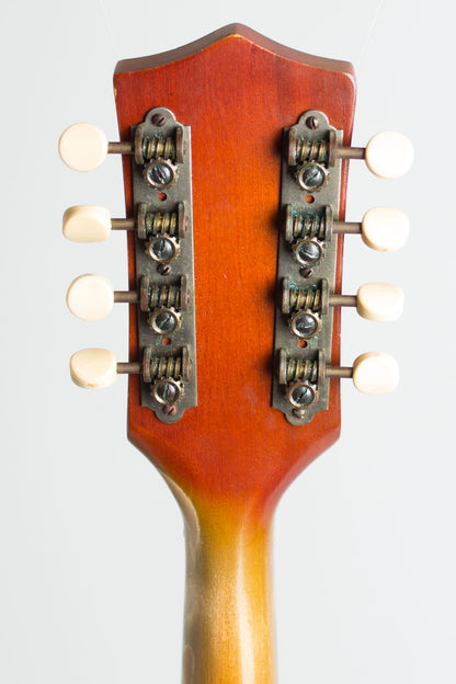 Stradolin Arch Top Mandolin (1950)